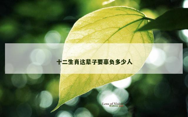 十二生肖这辈子要辜负多少人