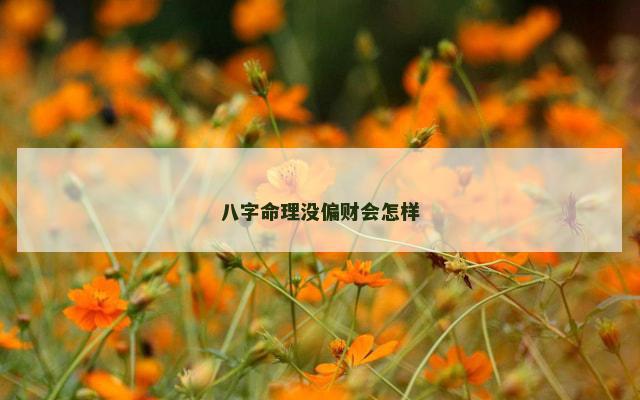 八字命理没偏财会怎样