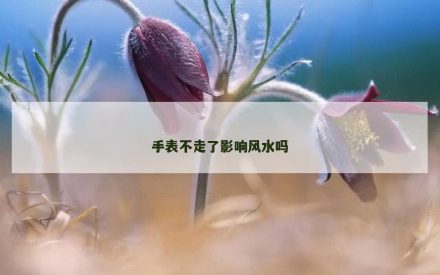 手表不走了影响风水吗