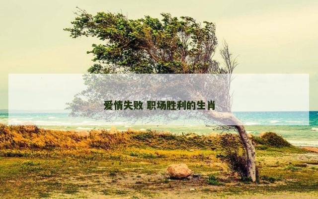 爱情失败 职场胜利的生肖
