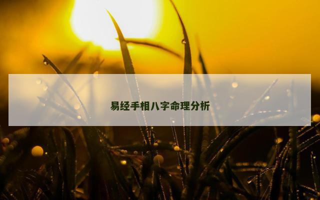 易经手相八字命理分析