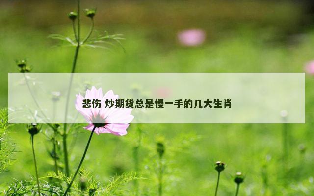 悲伤 炒期货总是慢一手的几大生肖