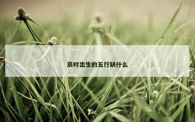 辰时出生的五行缺什么