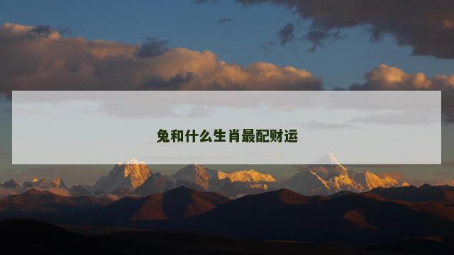 兔和什么生肖最配财运