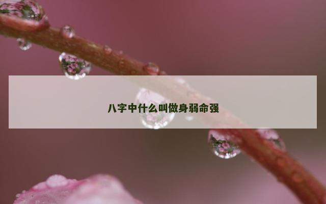 八字中什么叫做身弱命强