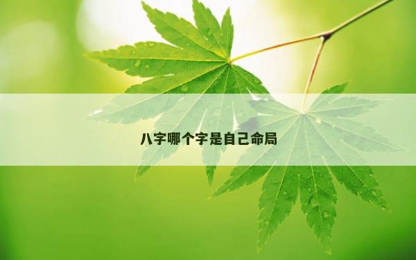 八字哪个字是自己命局