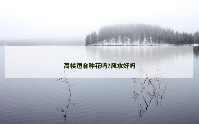 高楼适合种花吗?风水好吗