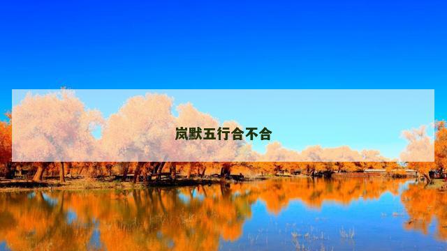 岚默五行合不合