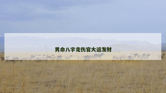 男命八字走伤官大运发财