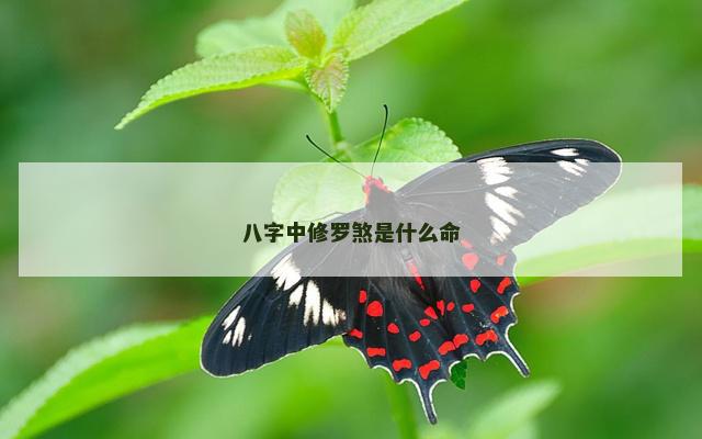 八字中修罗煞是什么命
