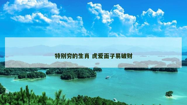 特别穷的生肖 虎爱面子易破财