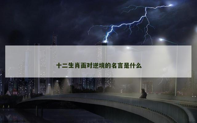 十二生肖面对逆境的名言是什么