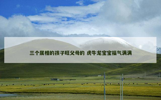 三个属相的孩子旺父母的 虎牛龙宝宝福气满满