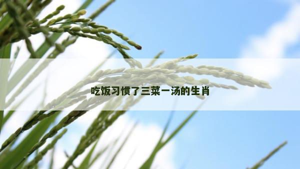 吃饭习惯了三菜一汤的生肖