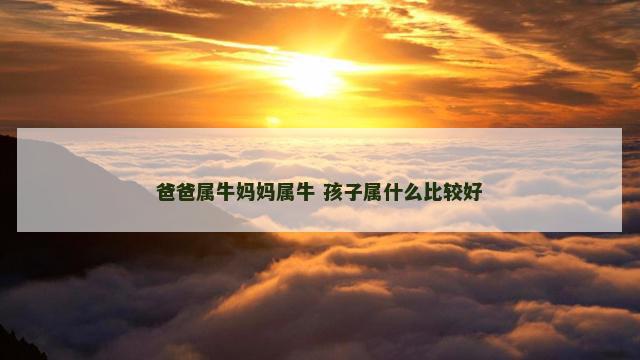 爸爸属牛妈妈属牛 孩子属什么比较好