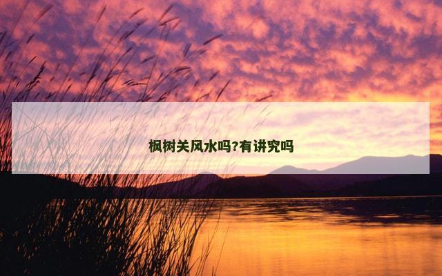 枫树关风水吗?有讲究吗