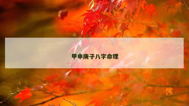 甲申庚子八字命理