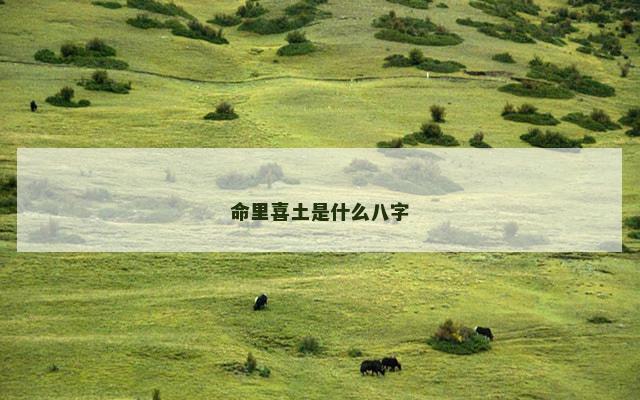 命里喜土是什么八字