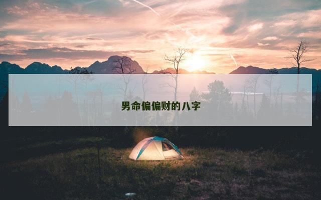 男命偏偏财的八字