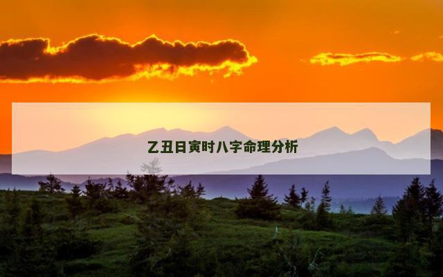 乙丑日寅时八字命理分析