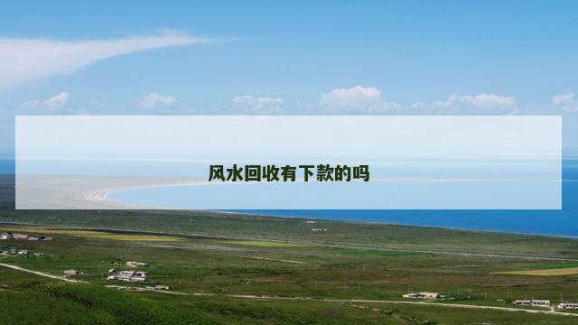 风水回收有下款的吗