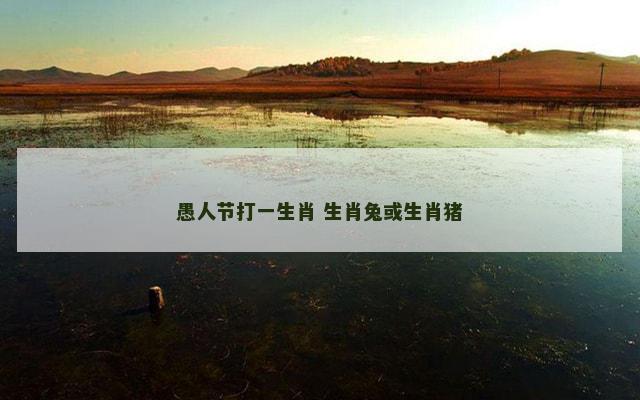 愚人节打一生肖 生肖兔或生肖猪