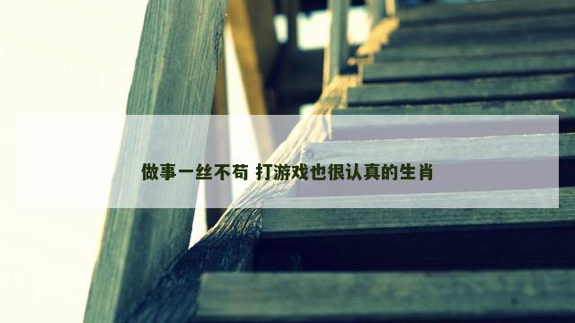 做事一丝不苟 打游戏也很认真的生肖