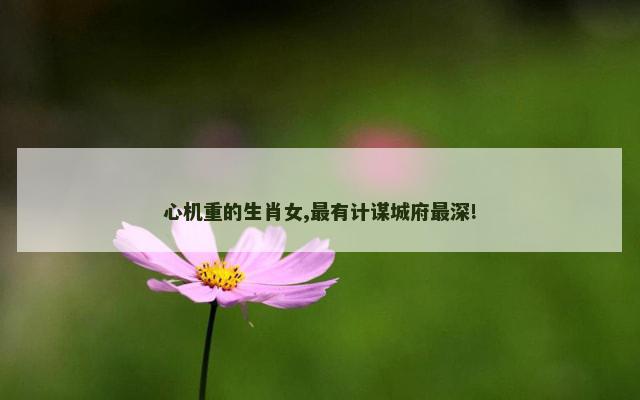 心机重的生肖女,最有计谋城府最深!