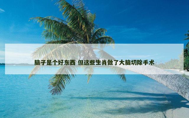 脑子是个好东西 但这些生肖做了大脑切除手术
