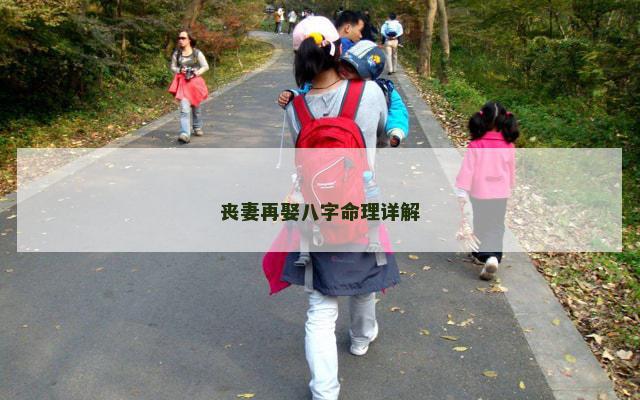 丧妻再娶八字命理详解