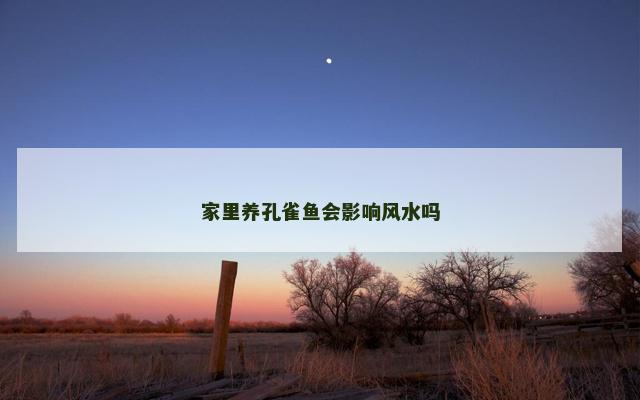 家里养孔雀鱼会影响风水吗