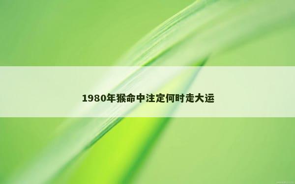 1980年猴命中注定何时走大运