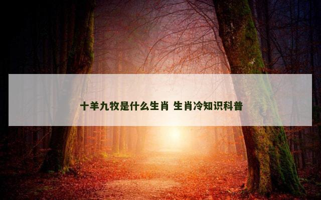 十羊九牧是什么生肖 生肖冷知识科普