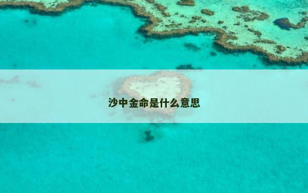 沙中金命是什么意思