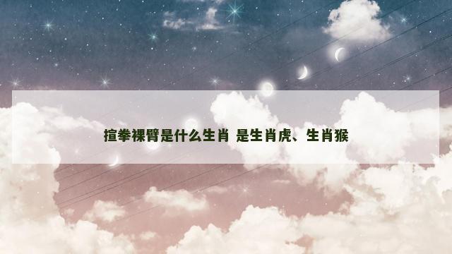 揎拳裸臂是什么生肖 是生肖虎、生肖猴