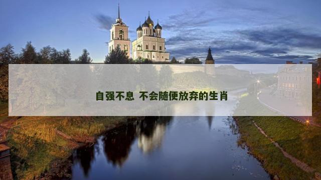 自强不息 不会随便放弃的生肖