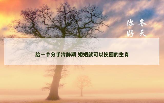 给一个分手冷静期 婚姻就可以挽回的生肖