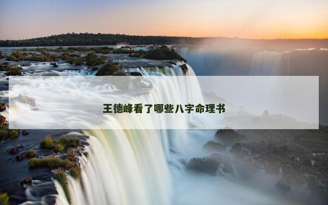 王德峰看了哪些八字命理书