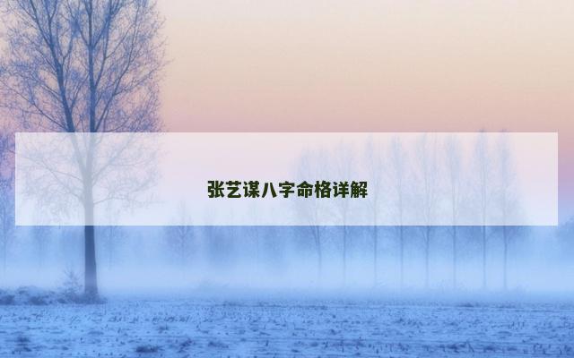 张艺谋八字命格详解