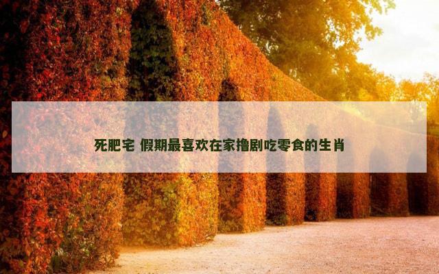 死肥宅 假期最喜欢在家撸剧吃零食的生肖