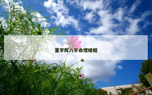 董宇辉八字命理婚姻