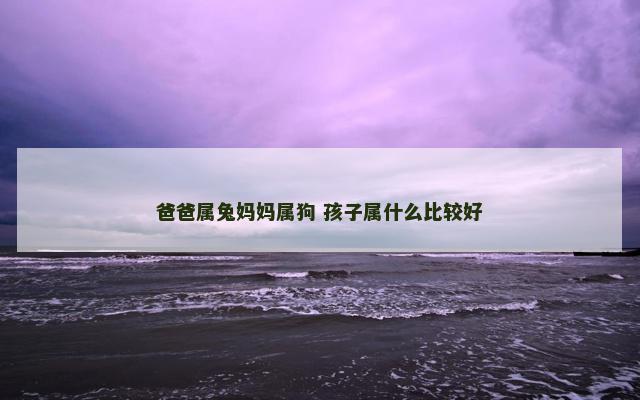 爸爸属兔妈妈属狗 孩子属什么比较好