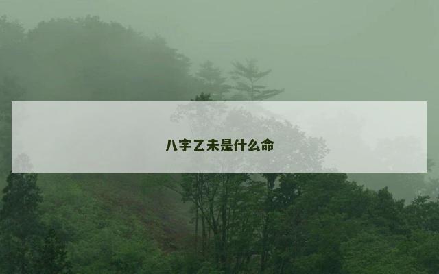 八字乙未是什么命