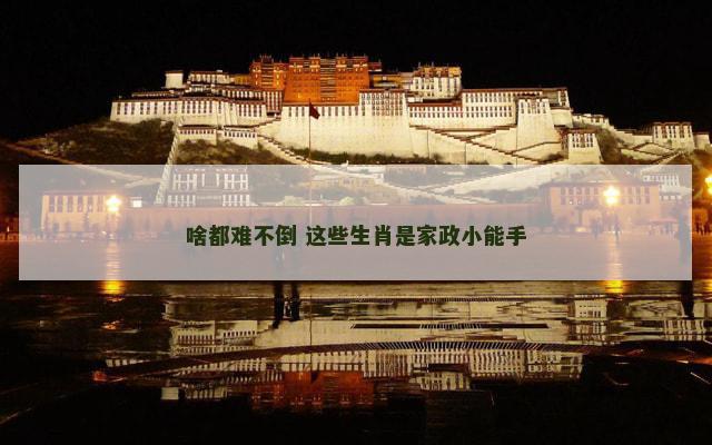 啥都难不倒 这些生肖是家政小能手
