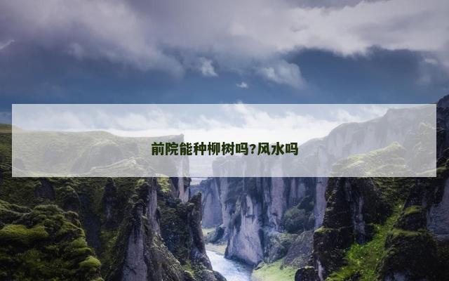 前院能种柳树吗?风水吗
