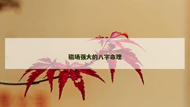 磁场强大的八字命理