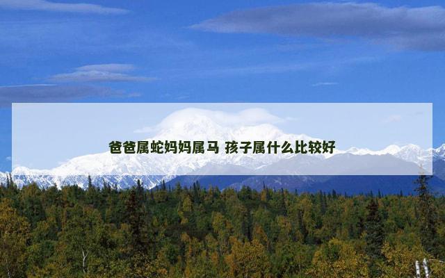 爸爸属蛇妈妈属马 孩子属什么比较好