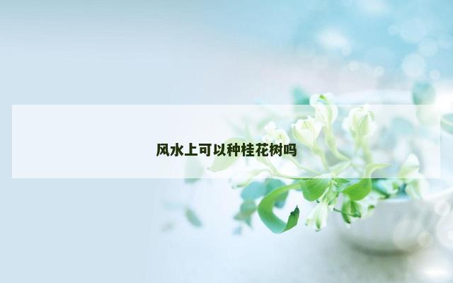 风水上可以种桂花树吗