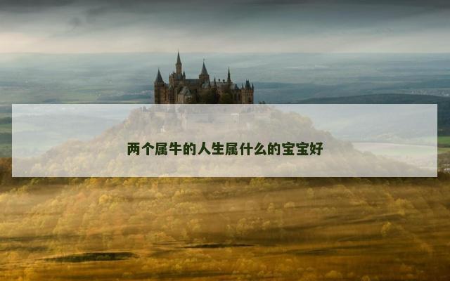 两个属牛的人生属什么的宝宝好