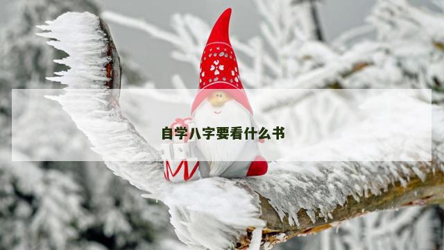 自学八字要看什么书